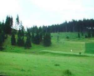 vand terenuri 5, 65 ha MIERCUREA CIUC-oras si statiune