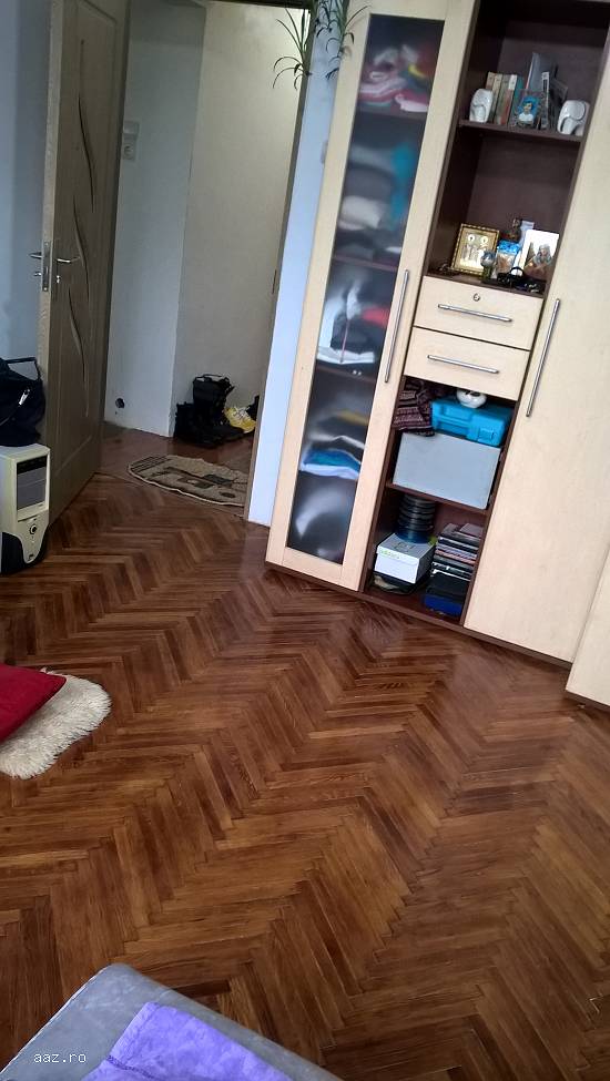ap 2 camere cismigiu