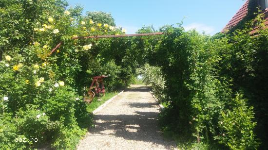 vand casa de vacanta