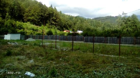 VAND TEREN 1564mp,     PARAUL LAZARULUI,     CHEILE BUTII,     MUNTII RETEZAT