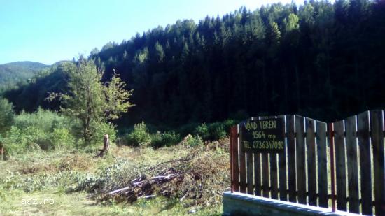 VAND TEREN 1564mp,     PARAUL LAZARULUI,     CHEILE BUTII,     MUNTII RETEZAT