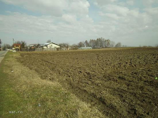 Teren intravilan