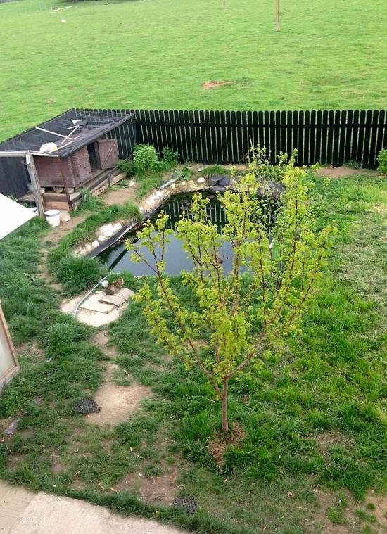 Duplex cu 8 camere zona linistita montana Rasnov-BV