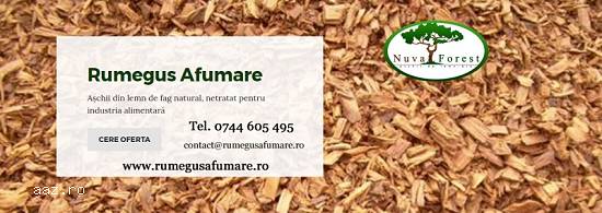 Rumegus pentru afumare din lemn de fag natural