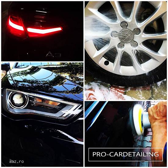 Polish/Servicii detailing auto