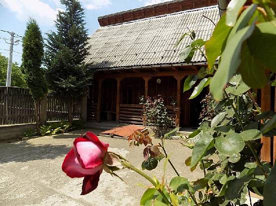 Pensiunea La Ursanu