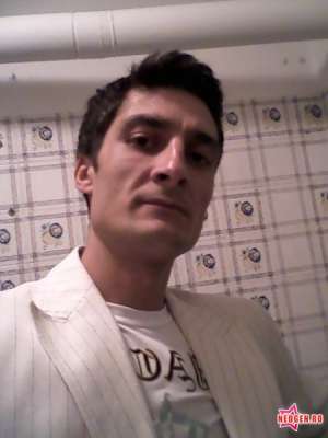 sofer cat B