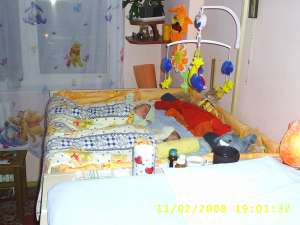 VANZARE PATUT
