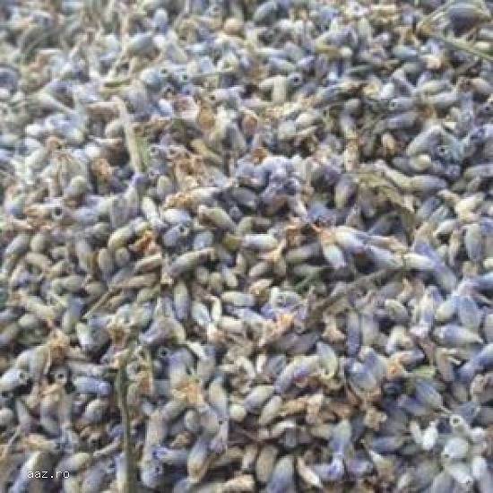 Vând lavanda uscata