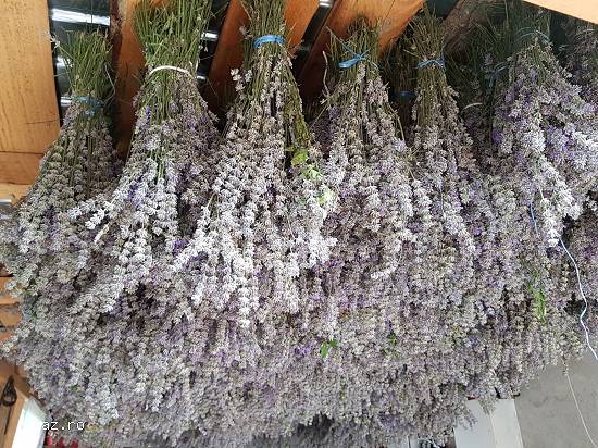 Vând lavanda uscata