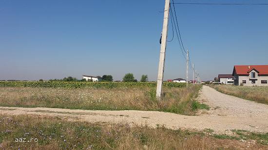 Vand urgent si negociabil teren in Cornetu/Ilfov,      str Taberei,      padure