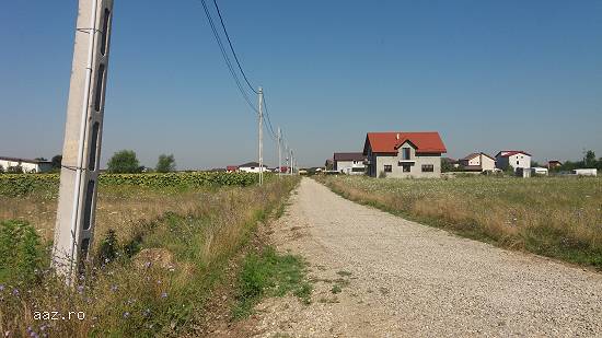 Vand urgent si negociabil teren in Cornetu/Ilfov,      str Taberei,      padure