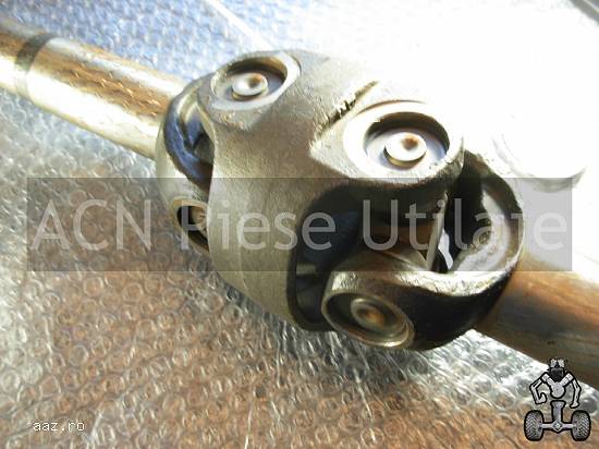 Planetara Carraro 137161