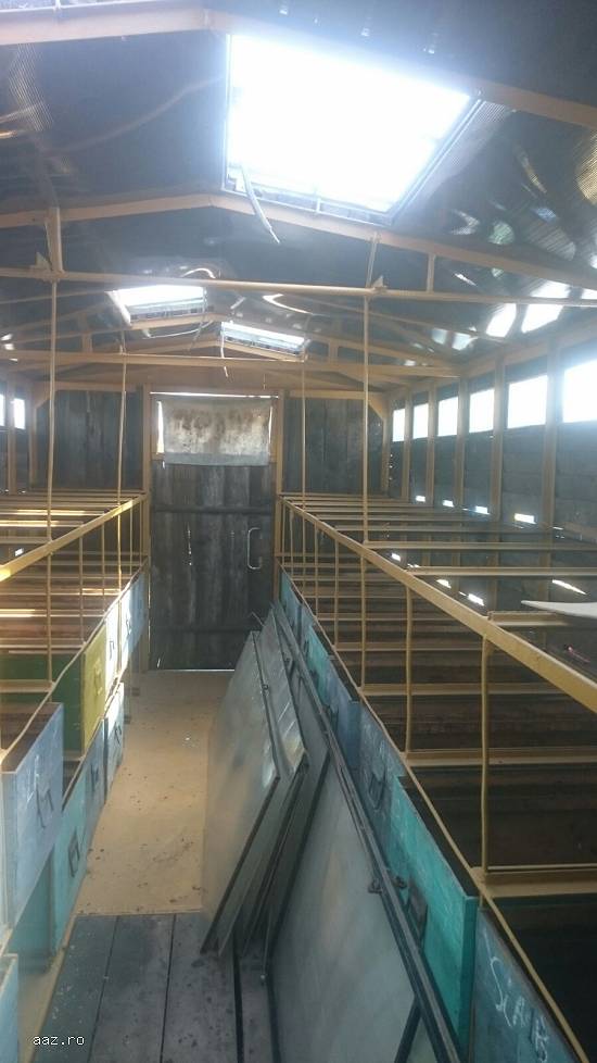 Vand pavilion  apicol