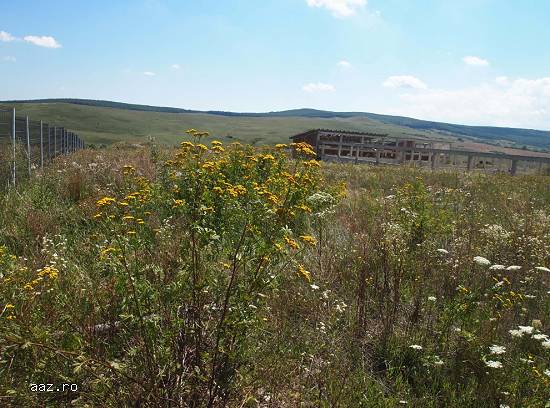 Proprietate imobiliara - loc. Calnic,   jud. Alba