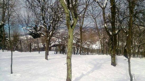 Teren 3000 mp zona Sinaia / Slănic-Prahov cu cabana lemn