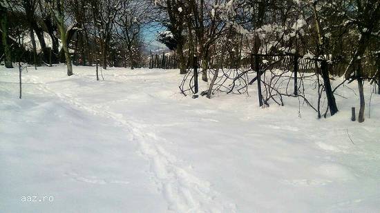 Teren 3000 mp zona Sinaia / Slănic-Prahov cu cabana lemn