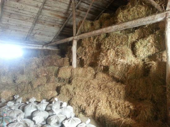 vand 1800 buc baloti mici de lucerna cu iarba,    prod.an 2017,    depozitati in magazie,    pret us