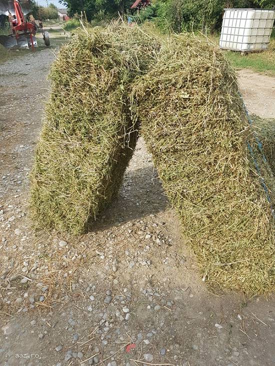 Vand urgent baloti de lucerna(vand si mai putin