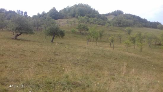 Vand casa
