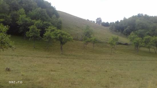 Vand casa
