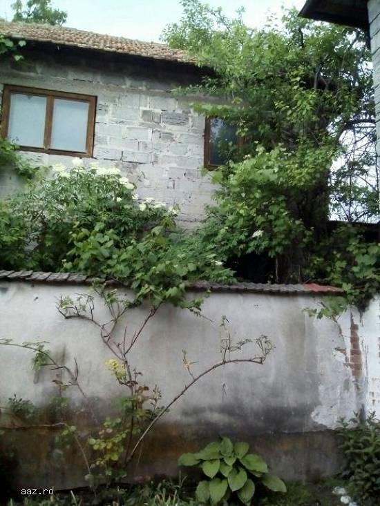 Vand/Schimb Casa (auto)