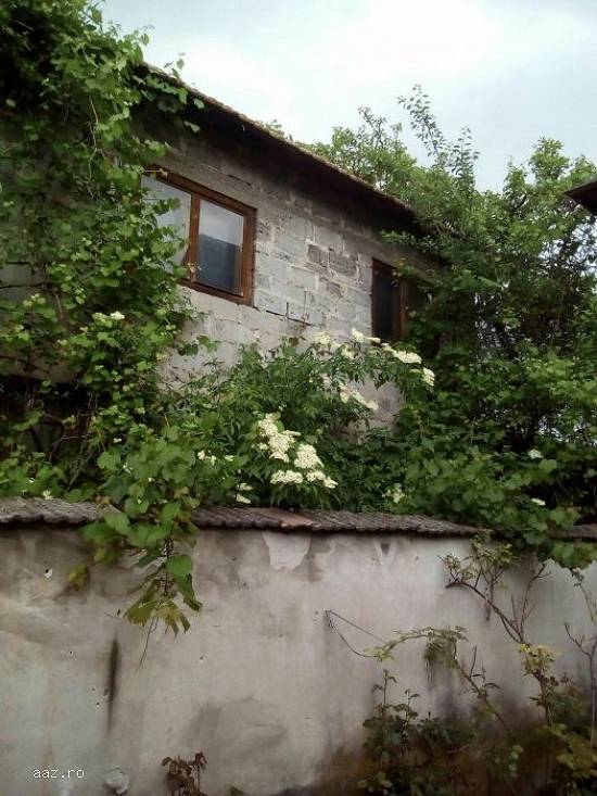Vand/Schimb Casa (auto)