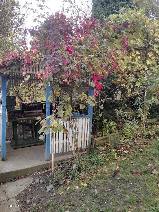 Vand proprietate Catina,   Sud. Cluj