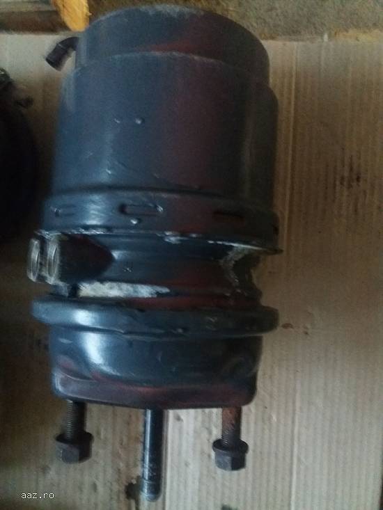 Cameră de frânare DAF