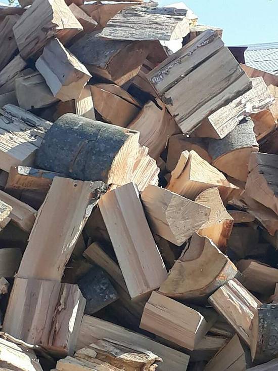 Lemne de fag stejar sau carpen si carbune lignit