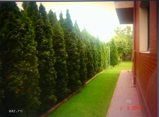 Vila Saftica de exceptie,   linga padure,   liniste si aer curat,   10 min de Bucuresti !