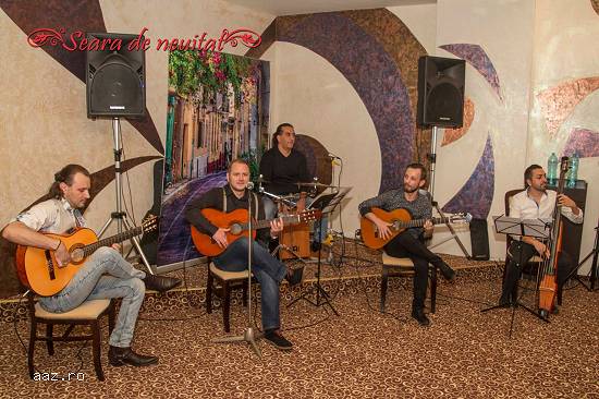 Servicii de music entertainment