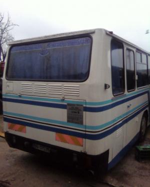vand autobuz