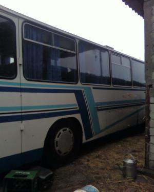 vand autobuz