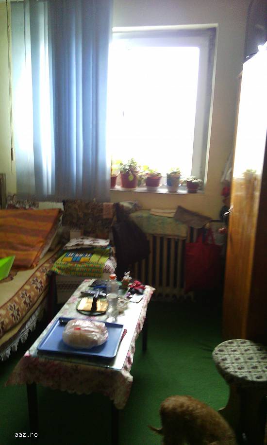 apartament