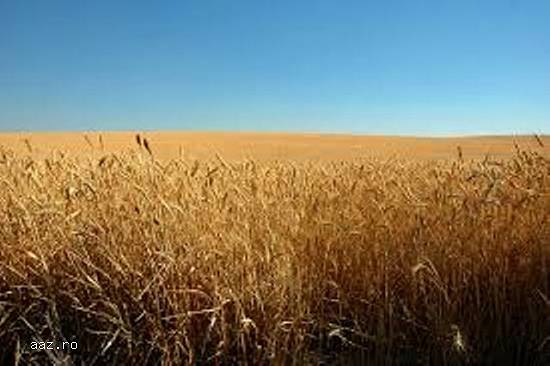teren agricol de vanzare Romania 3400 ha