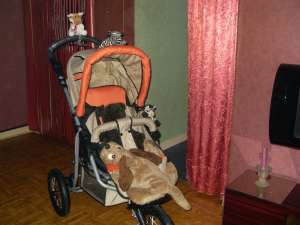 vand carut Jogger -made in germnia- noi