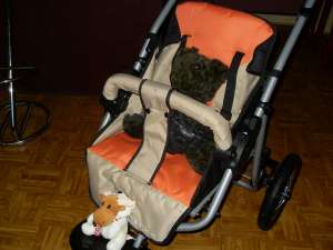 vand carut Jogger -made in germnia- noi