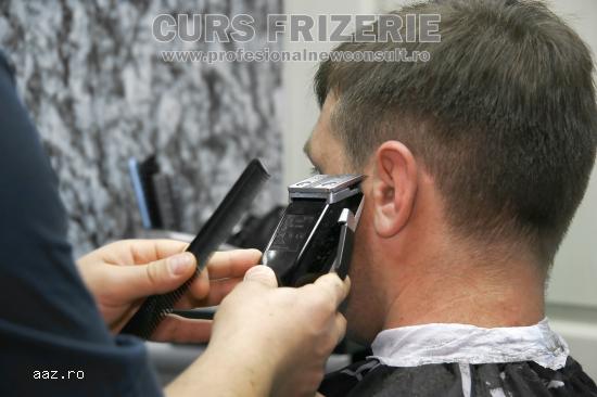 Curs Frizer