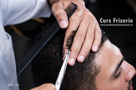 Curs Frizer