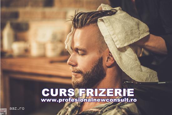 Curs Frizer