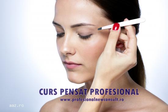 Curs Pensat Profesional