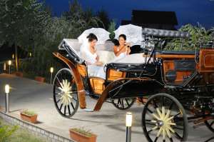 vand cai si trasura