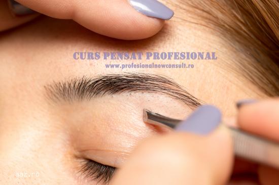 Curs Pensat Profesional