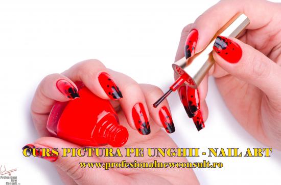 Curs Pictura pe Unghii / Nail Art