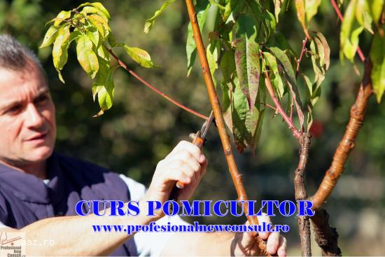Curs Pomicultor