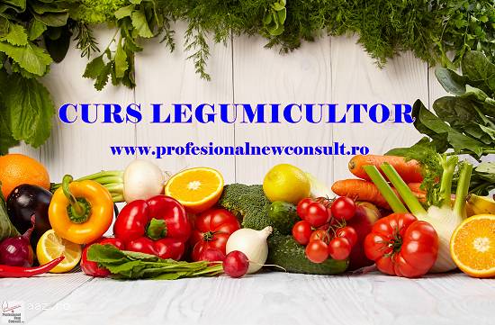 Curs Legumicultor