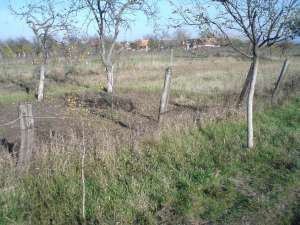 vand teren (gradina 600-700 mp)