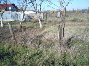 vand teren (gradina 600-700 mp)