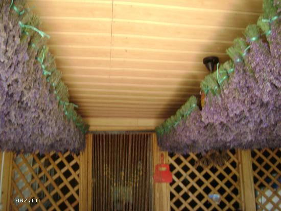 vand lavanda uscata